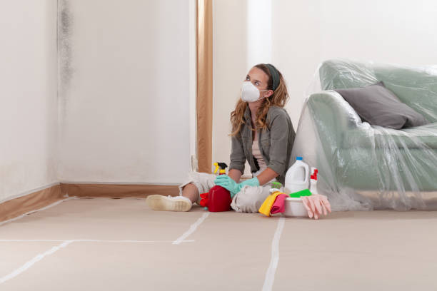 Reliable Mold Testing contractor in District Heights, MD by WQB Mold Removal