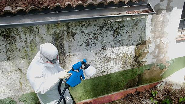 Top rated local Mold Testing specialists in District Heights, MD